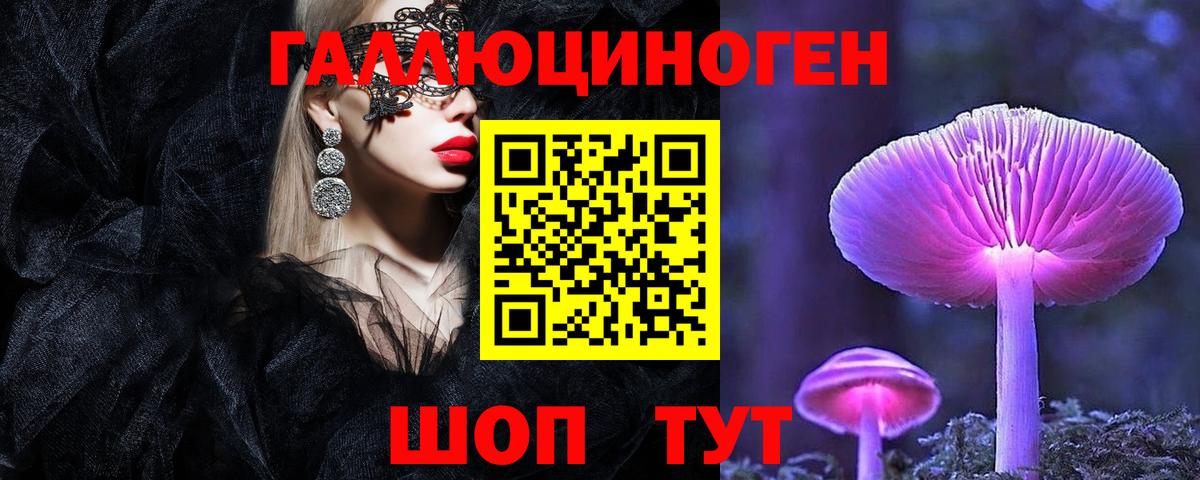 Верхняя Пышма  Галлюциногенные грибы Psilocybine cubensis  Вход с VPN 